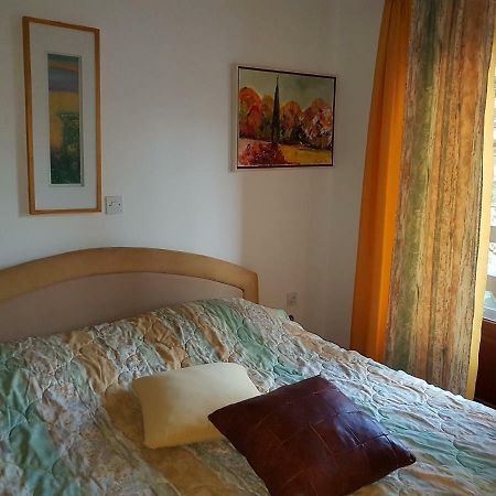 Apartment Slavi Vipava Bagian luar foto