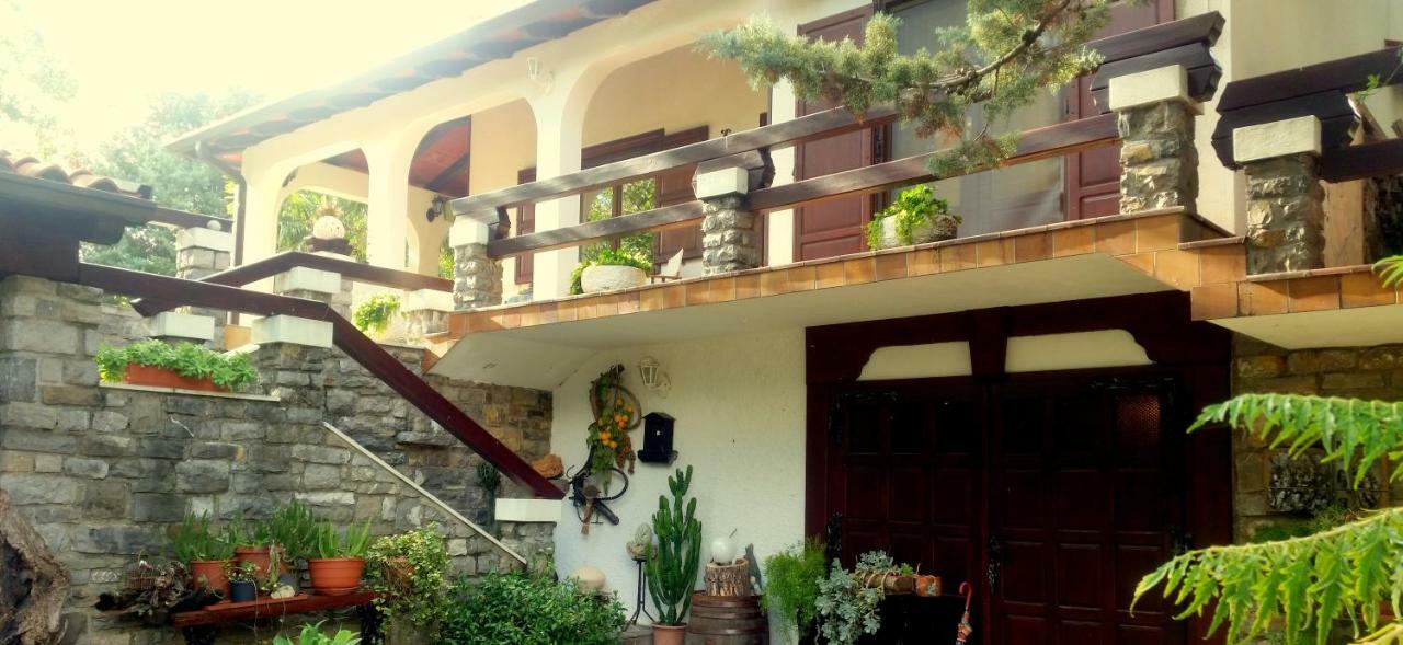 Apartment Slavi Vipava Bagian luar foto