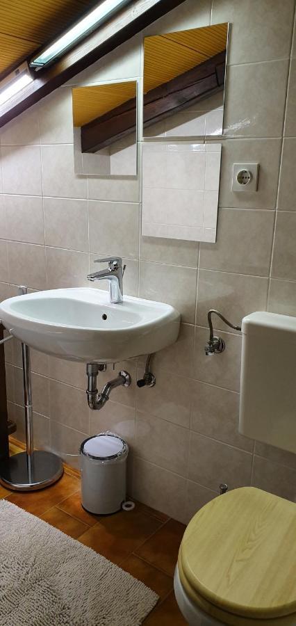 Apartment Slavi Vipava Bagian luar foto